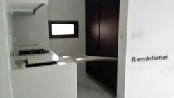 Wishart Road (D4), Condominium #519903741
